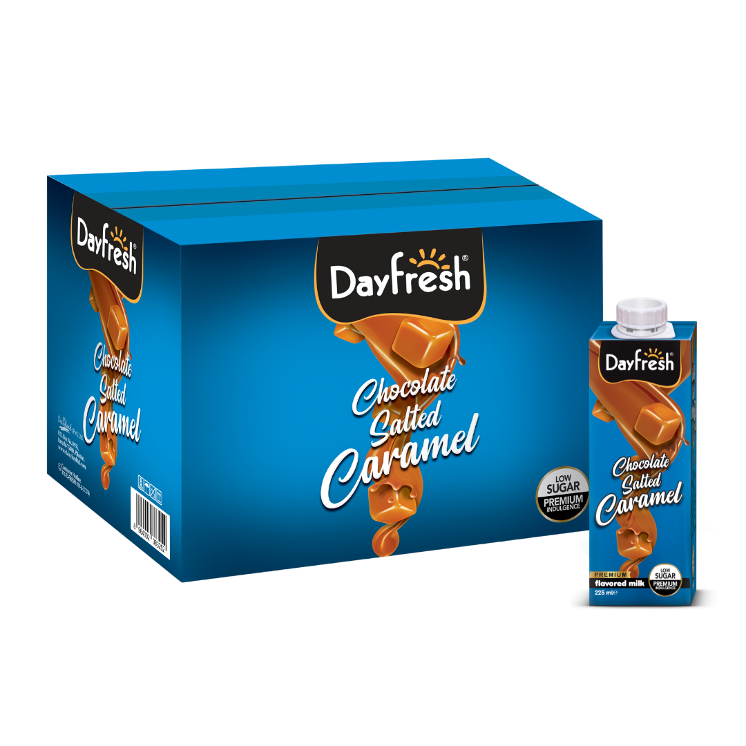 Premium Flavored Milk - Salted Caramel - 12 x 225ml