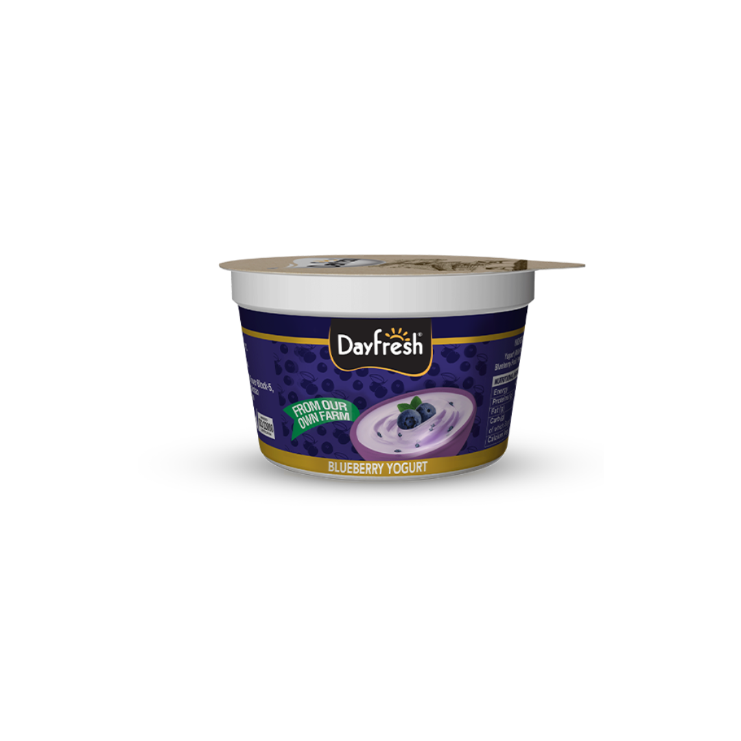 Fruit Yogurt BlueBerry - 100gm